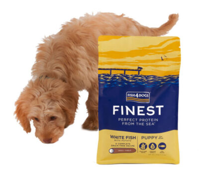 Fish4Dogs - Finest White Fish Puppy- sucha karma -1,5kg – pies01 - MiskaKarmy.pl