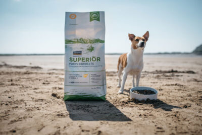 Fish4Dogs – Superior Puppy z Łososia - sucha karma – 12kg - pies01– MiskaKarmy.pl