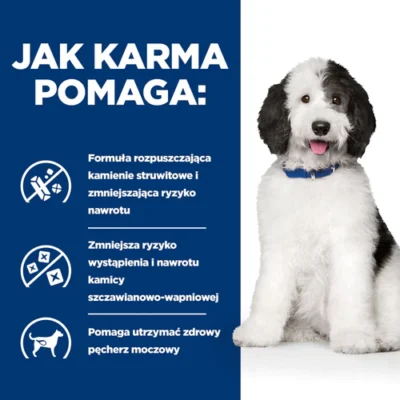 Hill’s- prescription-c/d-multicare-kurczak-pies-karma-mokra-mk.dsnet.wegrow.pl