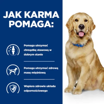 Hill’s- prescription-j/d-jagniecina-pies-karma-mokra-mk.dsnet.wegrow.pl