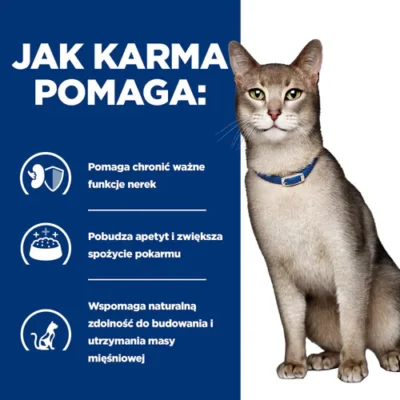 Hill’s – Prescription – K/D - Kot - - Łosoś - karma mokra – MiskaKarmy.pl