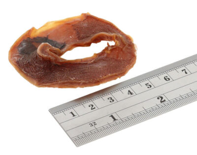Fish4Dogs – Calamari Rings - przysmaki – rozmiar - MiskaKarmy.pl