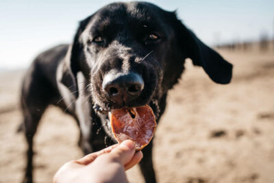 Fish4Dogs – Calamari Rings - przysmaki – pies - MiskaKarmy.pl
