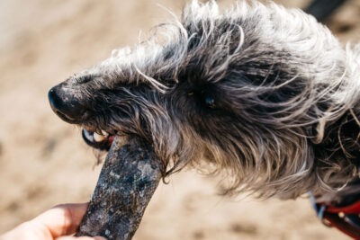 Fish4Dogs – Sea Jerky Strips - przysmaki – pies - MiskaKarmy.pl