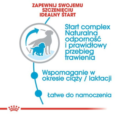 Royal Canin - Maxi Puppy - infografika - sucha karma - MiskaKarmy.pl