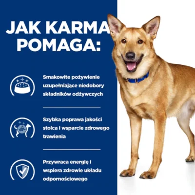 Hill’s – i/d - Pies - karma mokra – MiskaKarmy.pl