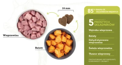 Acana Treats Crunchy Pork Wieprzowina 100g - Przysmak - MiskaKarmypl