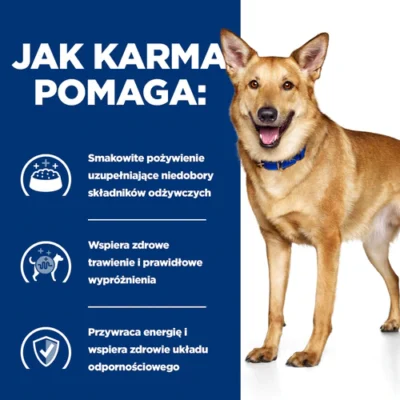 Hill’s – Prescription – I/D - Gulasz - Pies - karma mokra – MiskaKarmy.pl