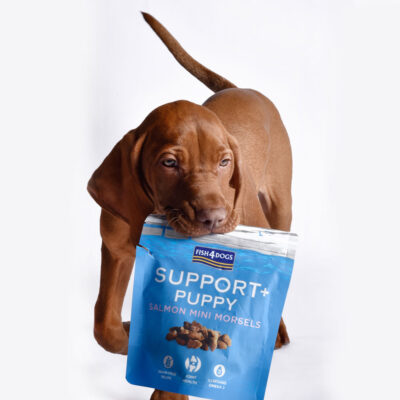 Fish4Dogs - Puppy Salmon Morseles - Pies - Przysmaki - 150g - pies - MiskaKarmy.pl