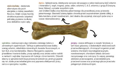 Syta Micha - kość funkcyjna do żucia hipoalergiczna z koniną - infografika - MiskaKarmypl