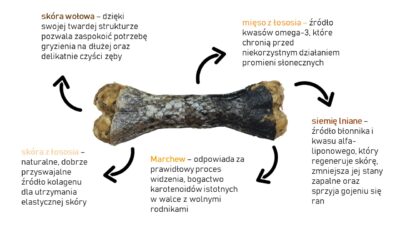 Syta Micha - kość funkcyjna do żucia na piękną sierść - infografika - MiskaKarmypl