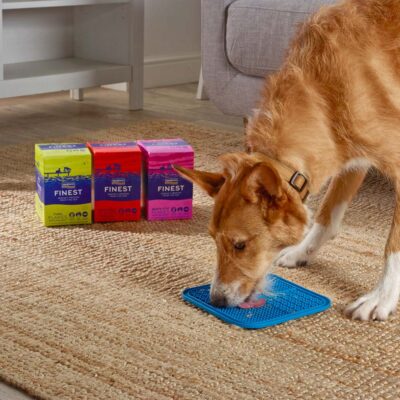 Fish4Dogs - Filety - Pies - Karma - Mokra - 100g - lickmata - MiskaKarmy.pl