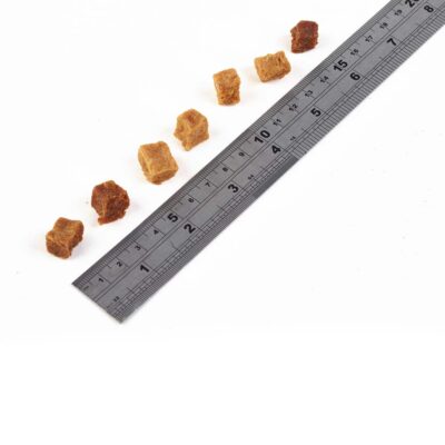 Fish4Dogs - Salmon Bites - Pies - Przysmaki - 100g - wielkość - MiskaKarmy.pl