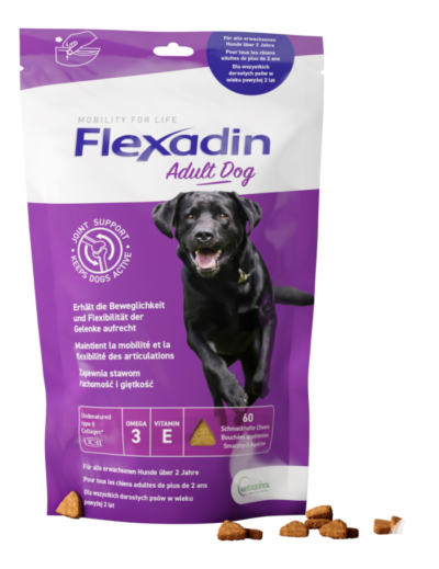 Vetoquinol - Flexadin - Adult - Dog - Preparat - Stawy - Pies - Suplement - Miskakarmy.pl