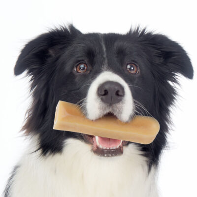 3 - Ollo - Himalayan - Cheese - Chew - Gryzak - Dla - Psa - MiskaKarmy.pl