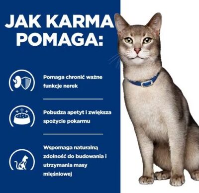 2 - Hill's - Feline - K/D - Tuna - Sucha - Karma - Dla - Kota - Miskakarmy.pl