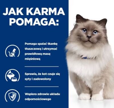 2 - Hill's - Feline - R/D - Kurczak - Sucha - Karma - Dla - Kota - Miskakarmy.pl